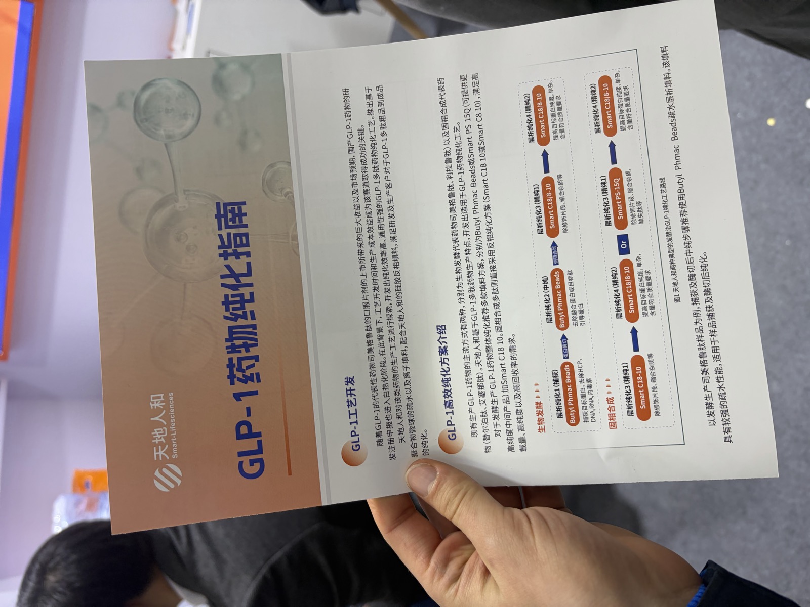 A GLP-1 drug purification guide handed to me at a BIOCHINA booth, covering semaglutide, liraglutide and tirzepatide processing